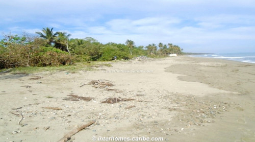 photos for GASPAR HERNANDEZ: BEACHFRONT PROPERTY ON THE POPULAR LAS CAÑAS BEACH