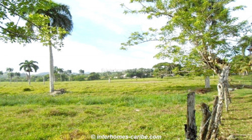 photos for GASPAR HERNANDEZ: BEACHFRONT PROPERTY ON THE POPULAR LAS CAÑAS BEACH