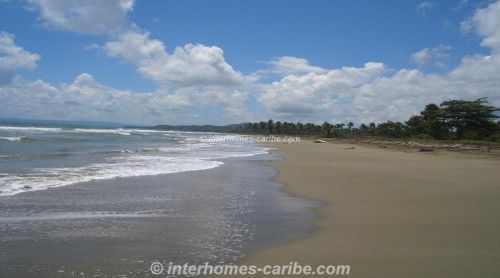 photos for LAS CAÑAS: LAND OF 50,000 M² / 12.36 ACRE WITH DIRECT SEA FRONT, OWNER FINANCING