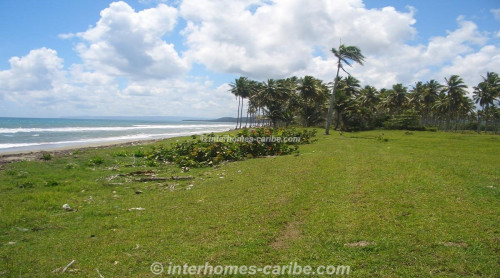 photos for LAS CAÑAS: LAND OF 50,000 M² / 12.36 ACRE WITH DIRECT SEA FRONT, OWNER FINANCING