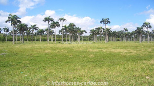 photos for LAS CAÑAS: LAND OF 50,000 M² / 12.36 ACRE WITH DIRECT SEA FRONT, OWNER FINANCING