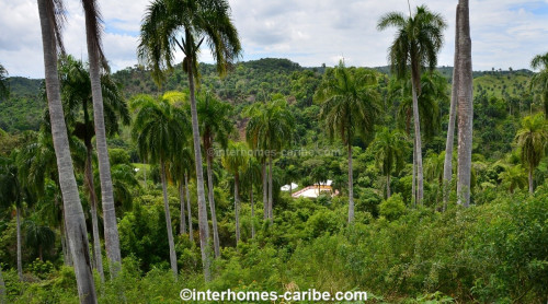 photos for SOSUA ABAJO: LOT OF CURRENTLY 32,000 M² (7.91 ACRES), VERSATILE USABLE, LOCATED CLOSE TO SOSUA