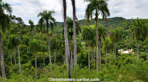 photos for SOSUA ABAJO: LOT OF CURRENTLY 32,000 M² (7.91 ACRES), VERSATILE USABLE, LOCATED CLOSE TO SOSUA