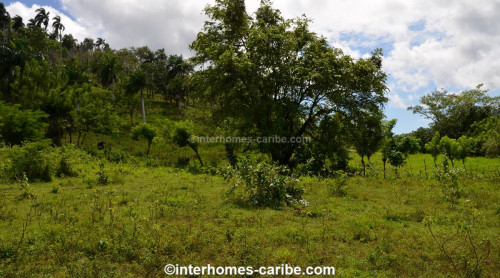 photos for SOSUA ABAJO: LOT OF CURRENTLY 32,000 M² (7.91 ACRES), VERSATILE USABLE, LOCATED CLOSE TO SOSUA