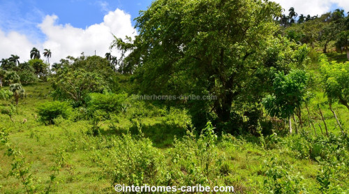 photos for SOSUA ABAJO: LOT OF CURRENTLY 32,000 M² (7.91 ACRES), VERSATILE USABLE, LOCATED CLOSE TO SOSUA