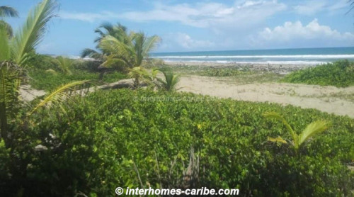 photos for SABANETA DE YASICA: THE LAST LOT WITH DIRECT BEACH LOCATION ON THE NATURAL LA BOKA BEACH